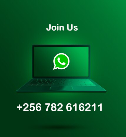 Chat on WhatsApp